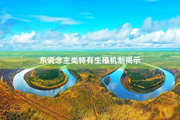 东说念主类特有生殖机制揭示