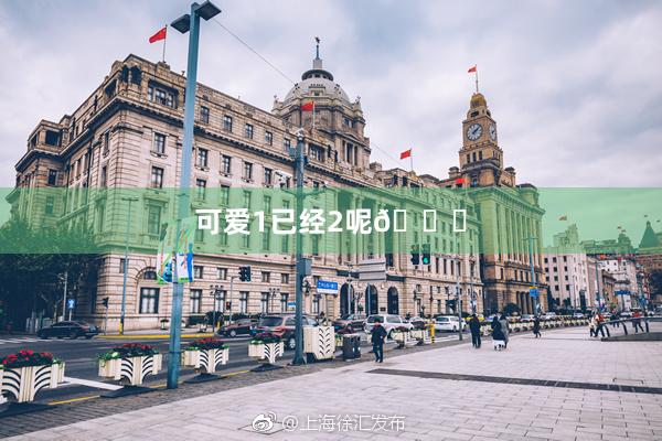 可爱1已经2呢🎀