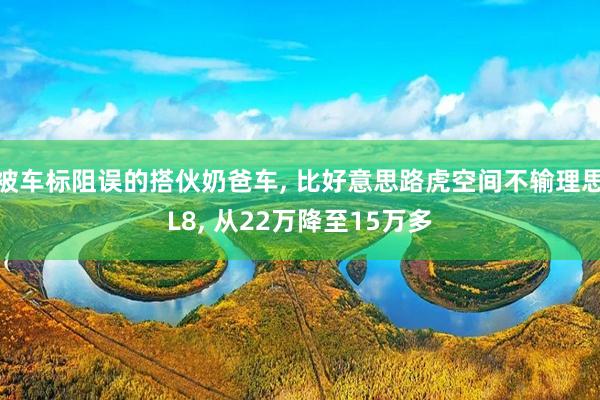 被车标阻误的搭伙奶爸车, 比好意思路虎空间不输理思L8, 从22万降至15万多