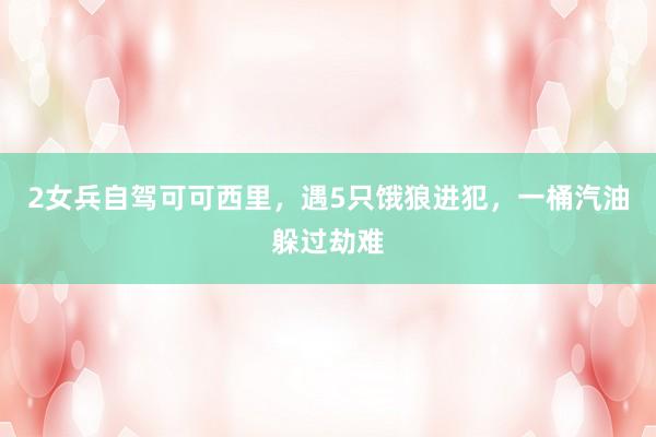 2女兵自驾可可西里，遇5只饿狼进犯，一桶汽油躲过劫难