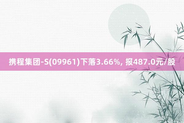 携程集团-S(09961)下落3.66%, 报487.0元/股