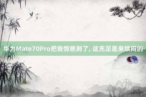 华为Mate70Pro把我惊艳到了, 这充足是来烦闷的