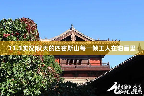 11.3实况|秋天的四密斯山每一帧王人在油画里