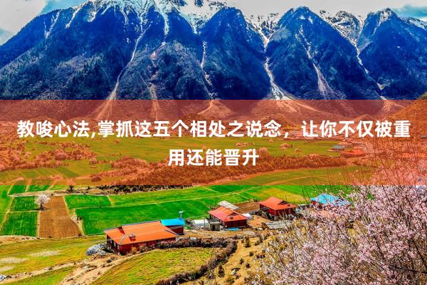 教唆心法,掌抓这五个相处之说念，让你不仅被重用还能晋升