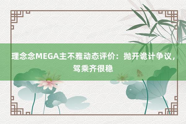 理念念MEGA主不雅动态评价：抛开诡计争议，驾乘齐很稳