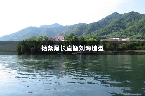 杨紫黑长直皆刘海造型