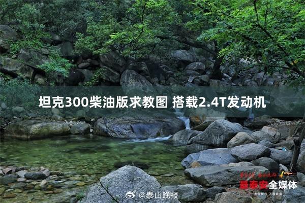坦克300柴油版求教图 搭载2.4T发动机